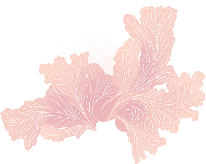 fungi 2.png