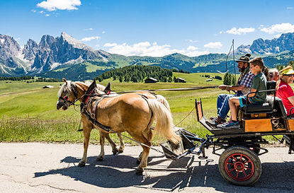 romantische-kutschenfahrten-auf-der-seiser-alm-im-herzen-der-dolomiten