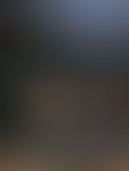 Behind the Scenes at Chase Field: A Baseball Lover’s Dream Tour