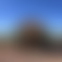 A Little Slice of the Good Life at Sovereign Acres Farm