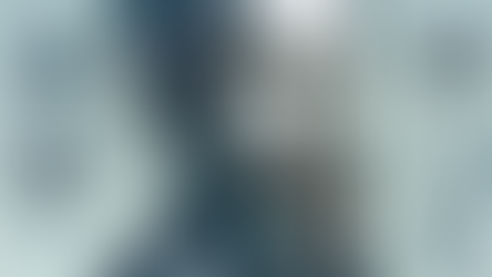 5 Effective and Adaptive Strategic Leadership Styles for Today's Business Environment