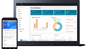 Going Digital in The COVID-19 Economy