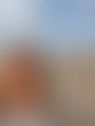 Tammie standing on a balcony overlooking the sandy shoreline and ocean at Virginia Beach’s north end.