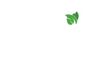 Modern-Plant-Based-Foods.webp