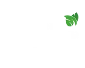 Modern-Plant-Based-Foods.webp