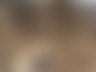 Polite Dog Behaviors: Teaching Manners for a Well-Behaved Companion