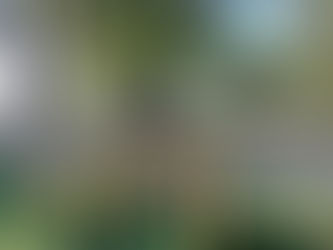 Dog Training Is an Ongoing Process: The Importance of Repetition, Consistency, and Positive Reinforcement