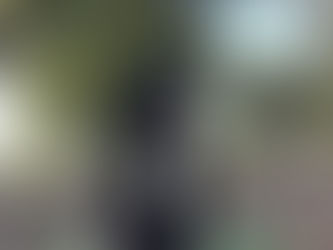 Why Correcting a Dog’s Behavior in the Moment Is Crucial for Training Success