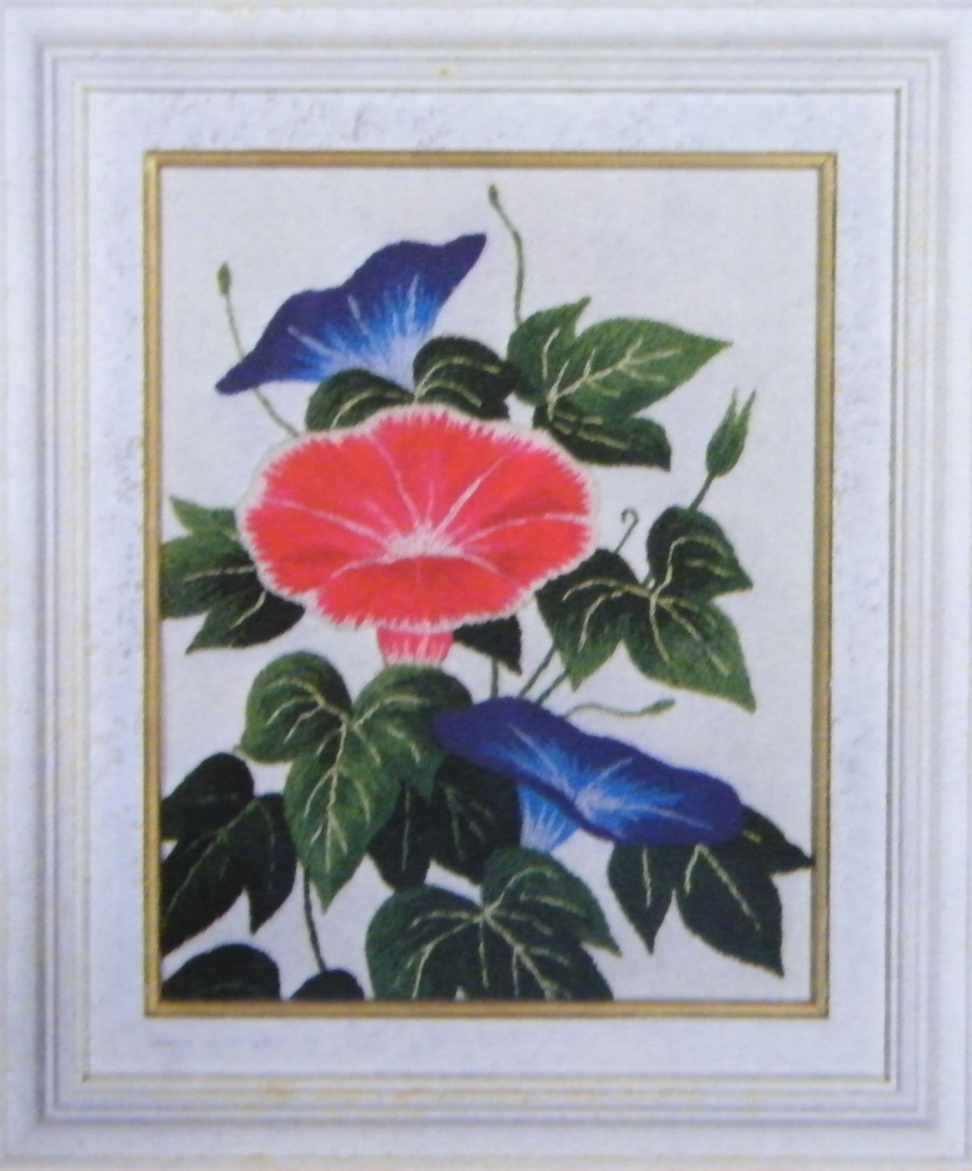 Kit 774 Morning Glory  Size 1