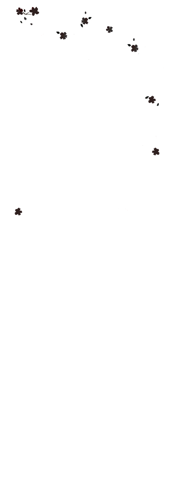 fondoflores1.png