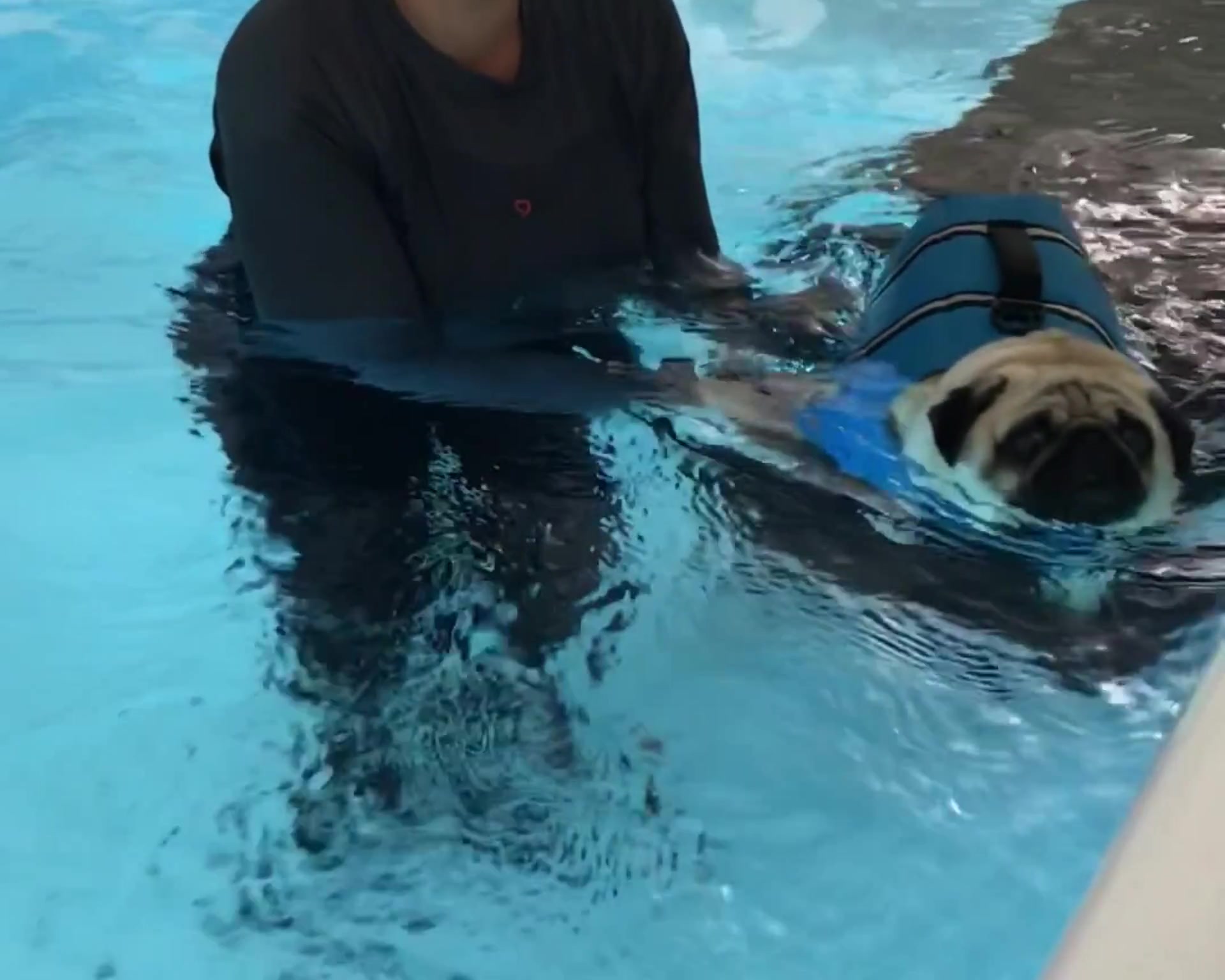 Percy's 3rd Swim!