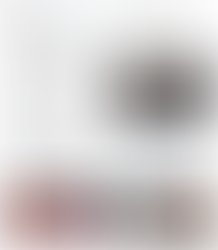 今日のトランプさん　１／１１