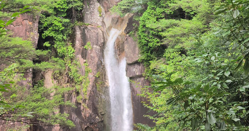 柿其渓谷の牛ヶ滝
