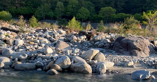 こまくさ橋の早朝