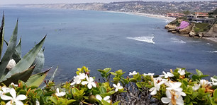 20190503_121630_edited.jpg