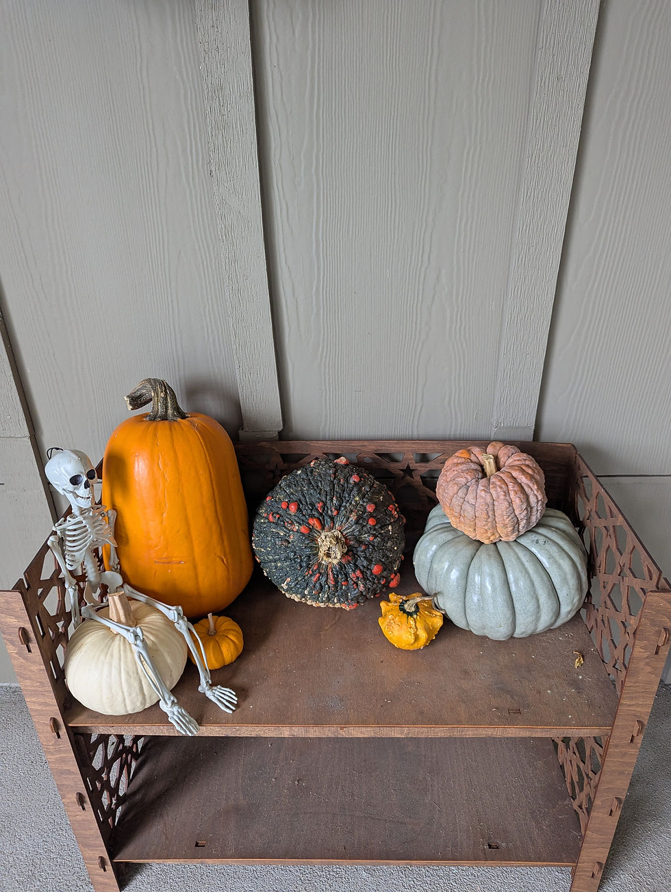 Pumpkins & more pumpkins