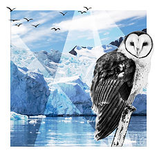 olw_ice