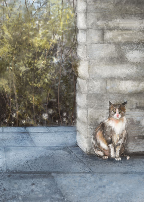 cat.jpg