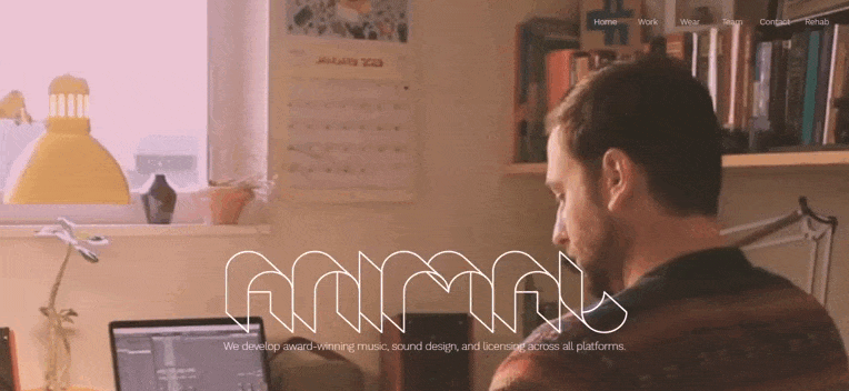 Wix Website Builder Design