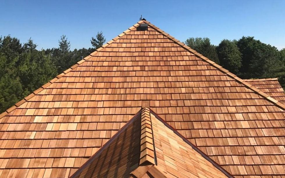 WhatsApp Image 2025-12-08 at 12.21_edited.jpg