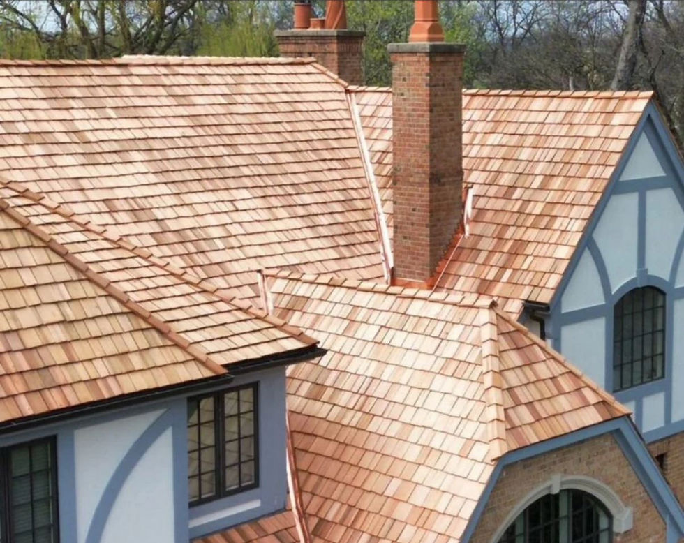 WhatsApp Image 2025-12-08 at 13.31.51.jpeg