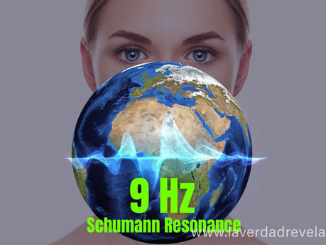 LA RED DE CONCIENCIA CRÍSTICA