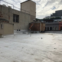 Tribeca Project