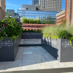 Tribeca Project