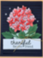 Thank you Friend pink Flowers you make a difference front.JPEG