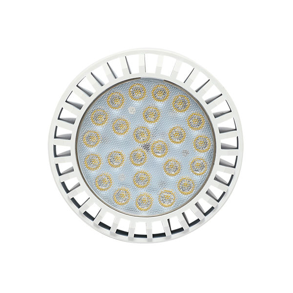 25W LED PAR30 Lamp E27