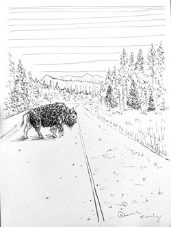 Crossing NW Wyoming