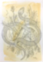 High Desert Field Study - 002