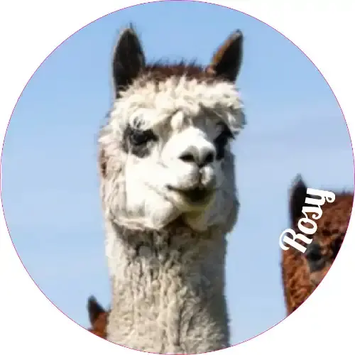 Thumbnail: #2 - Key Chains & Ornaments