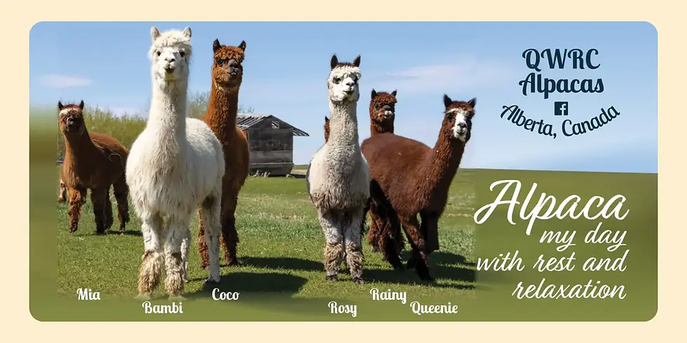 Thumbnail: Adventure Bags