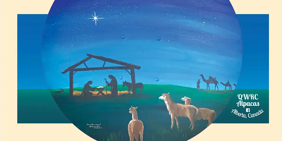 Thumbnail: Adventure Bags