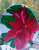 Lg Satellite - Pointsettia flower.jpg