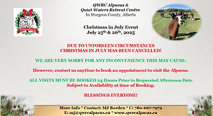Cnx - Christmas in July Poster.jpg