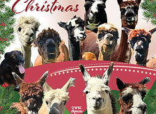 Merry Christmas group.jpg