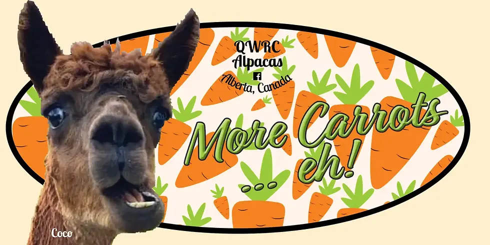 Thumbnail: Adventure Bags