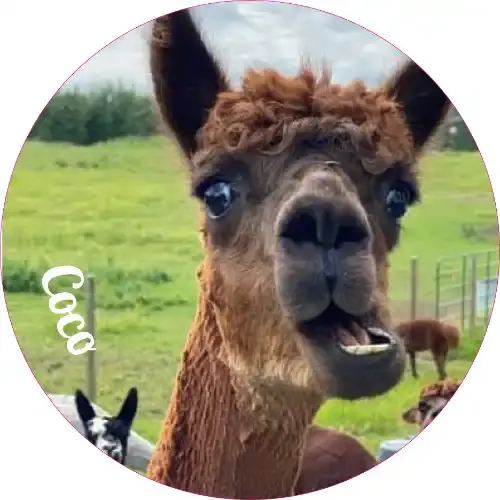 Thumbnail: #2 - Key Chains & Ornaments