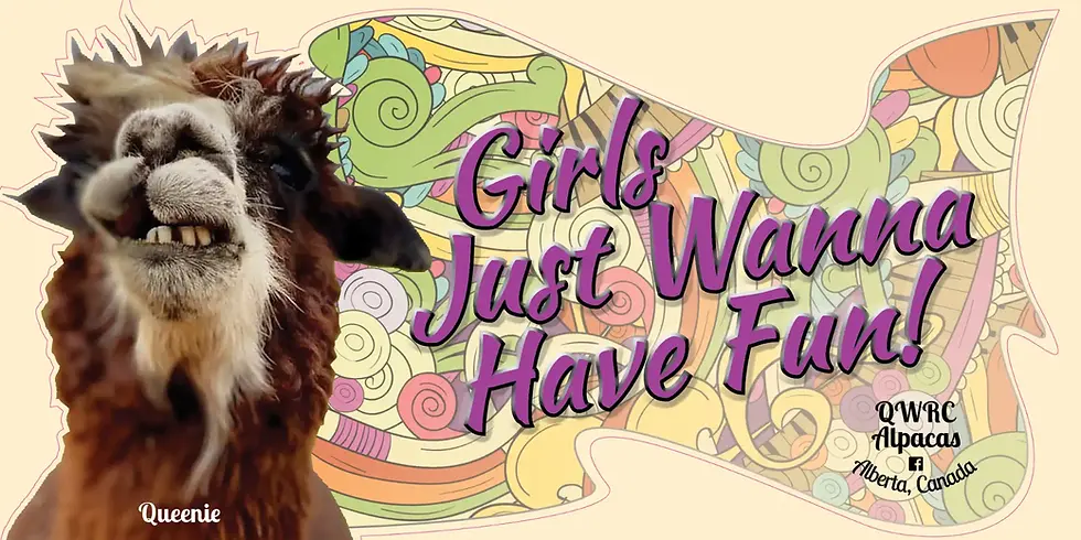 Thumbnail: Adventure Bags