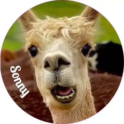 Thumbnail: #2 - Key Chains & Ornaments