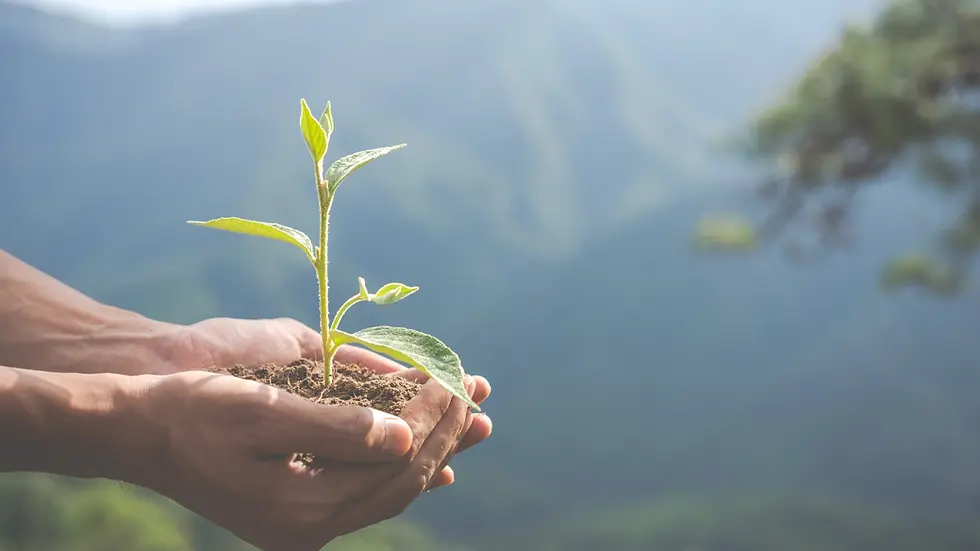 Indicadores ESG: los KPIs de sostenibilidad que toda empresa debería medir