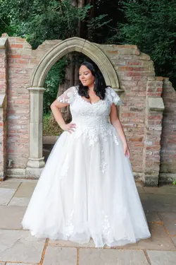 25717 - Curve Collection