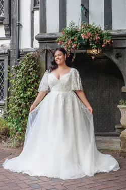 25729 - Curve Collection