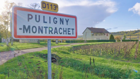Caveau de Puligny-Montrachet (Burgundy, France)