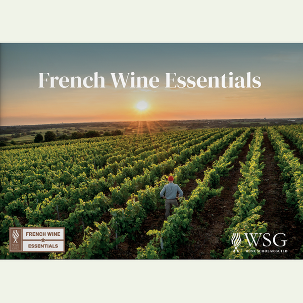 French Wine Essentials Course English Saturday February 2025