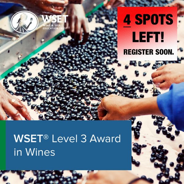 WSET Level 3 in Wines English Sundays January February 2026