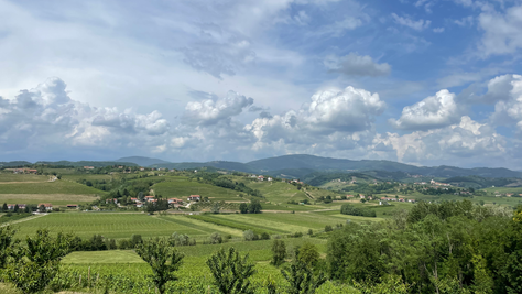 Winery #62: Atelier Kramar (Goriška Brda, Slovenia)