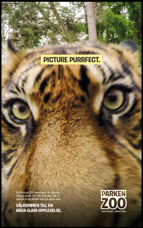 Skärmavbild 2020-02-27 kl. 16.07.08.png